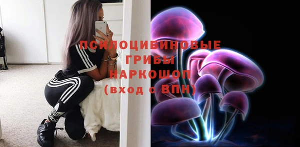 спайс Богородск