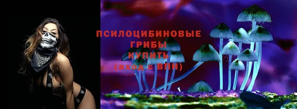 соль курить ск Богородицк