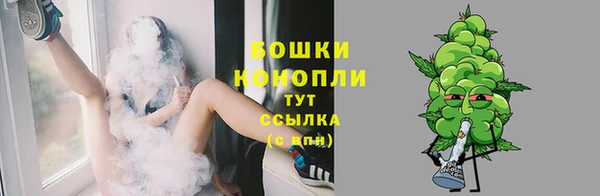 спайс Богородск