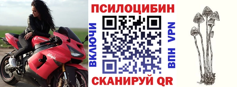 Купить где  Венёв  Галлюциногенные грибы ЛСД 