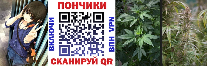 Бошки марихуана MAZAR  Купить закладки  Венёв 